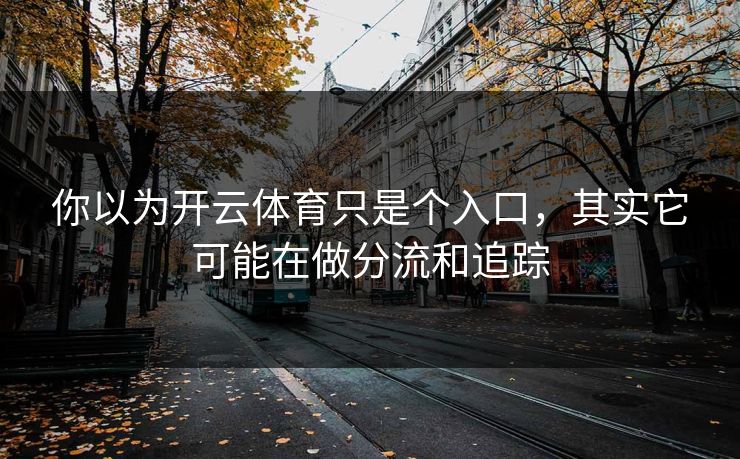 你以为开云体育只是个入口，其实它可能在做分流和追踪