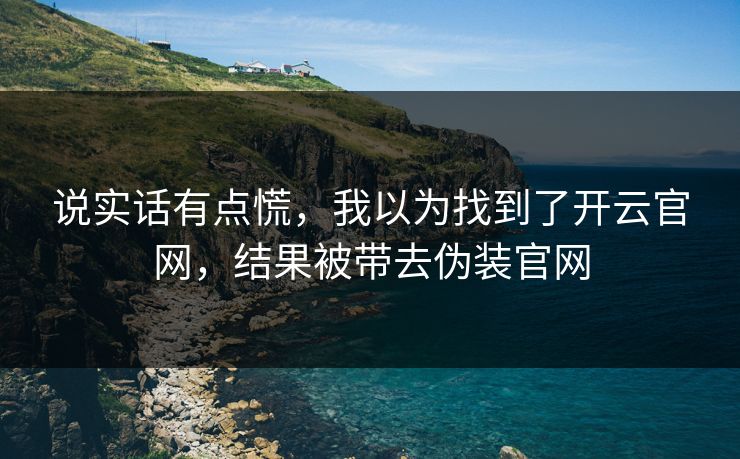 说实话有点慌，我以为找到了开云官网，结果被带去伪装官网