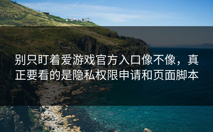 别只盯着爱游戏官方入口像不像，真正要看的是隐私权限申请和页面脚本
