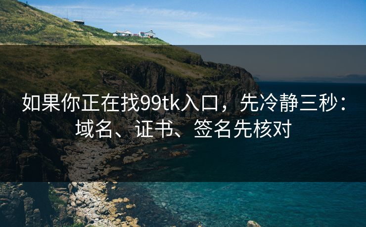 如果你正在找99tk入口，先冷静三秒：域名、证书、签名先核对